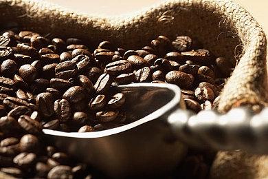 Switch 2首发游戏总结 《文明7》《黑帝斯2》《双影奇境》等