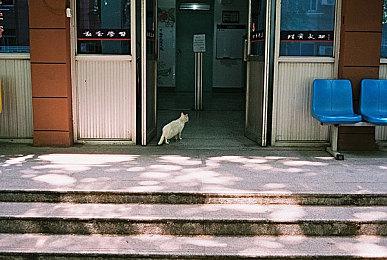 505和MercurySteam合作开发全新ARPG游戏 黑暗幻想世界背景